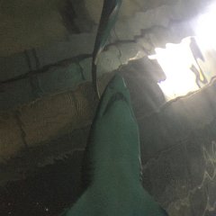 IMG 048